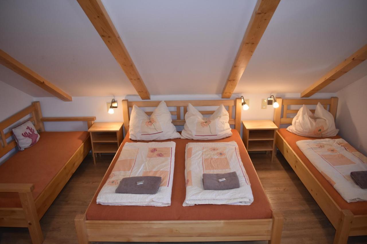 Penzion U Jelena Železná Ruda Extérieur photo